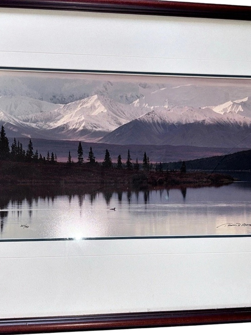 Thomas D. Mangelsen Reflections Framed Mountain Lake Landscape Print 327/950